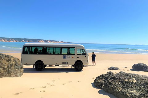 Kayak With Dolphins And 4WD Great Beach Drive Day Trip From Noosa - Your Accommodation 4