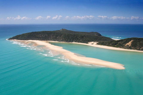 Kayak With Dolphins And 4WD Great Beach Drive Day Trip From Noosa - Your Accommodation 5