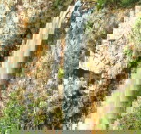 Private Tour - Rainforest  Waterfalls Extravaganza - Your Accommodation