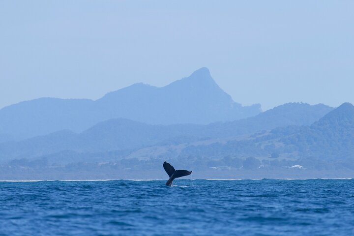 Byron Bay NSW Your Accommodation