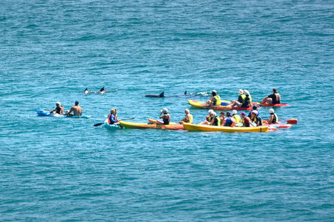 The Byron Bay Sea Kayak Tour - Your Accommodation 1
