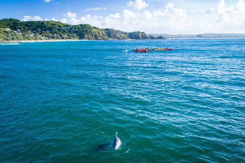The Byron Bay Sea Kayak Tour - Your Accommodation 2
