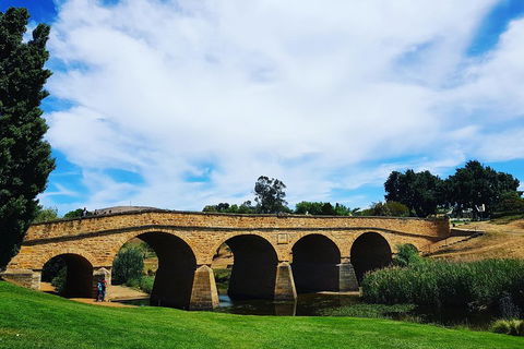 Tasmania 4 Day East Coast + Launceston - Your Accommodation 4