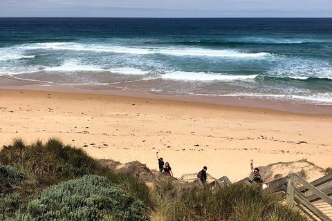 Phillip Island Penguins Private Tour - Your Accommodation 4