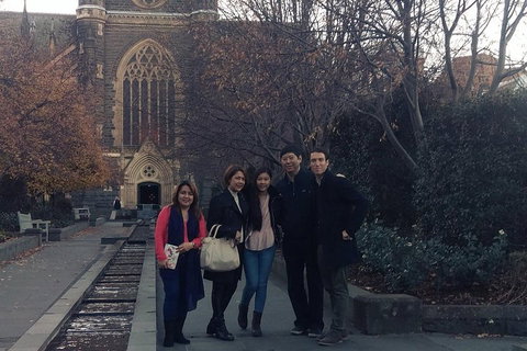 Melbourne City Private Tour - Your Accommodation 0