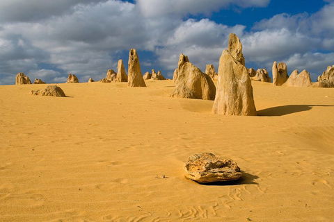 The Pinnacles, Sea And Dunescapes, Bush Reserve And Sunset Day Tour - Your Accommodation 0