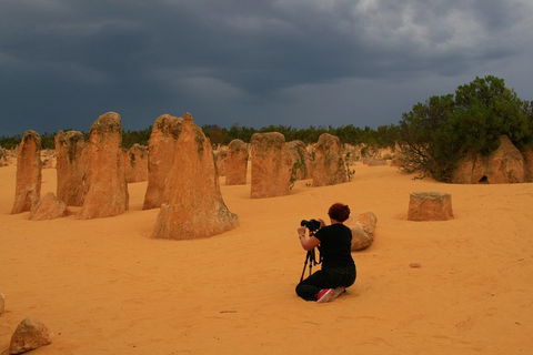 The Pinnacles, Sea And Dunescapes, Bush Reserve And Sunset Day Tour - Your Accommodation 2