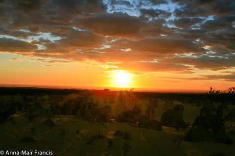 The Pinnacles, Sea And Dunescapes, Bush Reserve And Sunset Day Tour - Your Accommodation 3