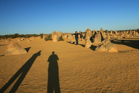 The Pinnacles, Sea And Dunescapes, Bush Reserve And Sunset Day Tour - Your Accommodation 5