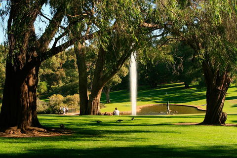 Highlights Of Perth Photographic Tour - Your Accommodation 4