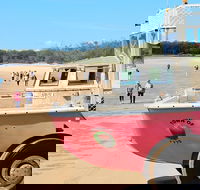 1770 Coastline Tour by LARC Amphibious Vehicle Including Picnic Lunch - Your Accommodation