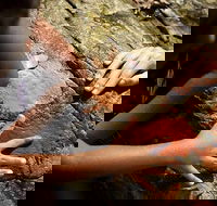 Ngana Julaymba Dungay - Full Day