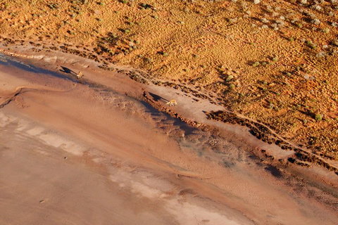 Scenic Flight: Lizard Safari - Your Accommodation 0