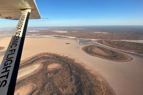 Scenic Flight: Lizard Safari - Your Accommodation 3