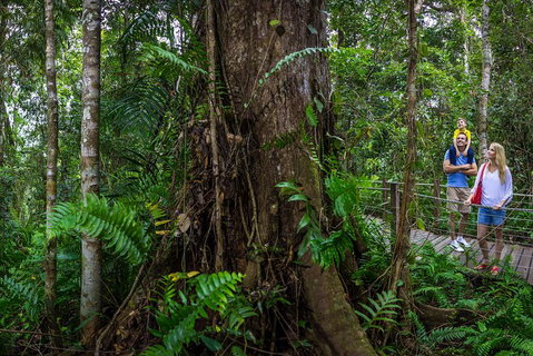 Kuranda Day Tour + HotAir Balloon Combo - Your Accommodation 3