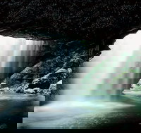 Natural Bridge Glow Worm Night Tour from Gold Coast - Your Accommodation