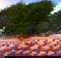 Byron Bay and the Crystal Castle Day Tour from Gold Coast - Your Accommodation