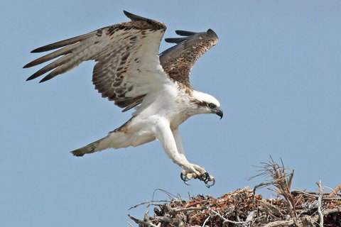 Pink Lake + Abrolhos Islands Nature Tour - Your Accommodation 3