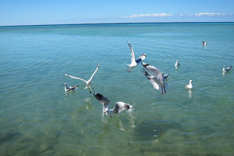 Pink Lake + Abrolhos Islands Nature Tour - Your Accommodation 5