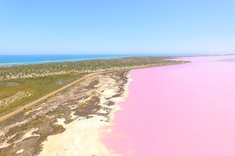 Pink Lake + Abrolhos Islands Scenic Flight - Your Accommodation 4