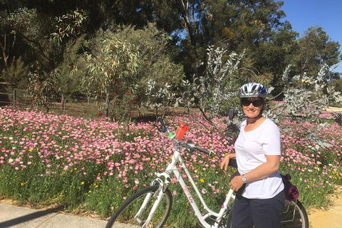 Perth Bike Tour - Beautiful Matilda Bay And Kings Park - Your Accommodation 1
