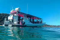 Best of Moreton Bay Cruise, Brisbane