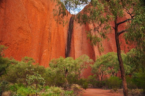 Uluru Sunrise And Guided Base Walk - Your Accommodation 3