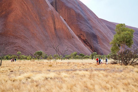 Uluru (Ayers Rock) Base And Sunset Half-Day Trip With Opt Outback BBQ Dinner - Your Accommodation 1
