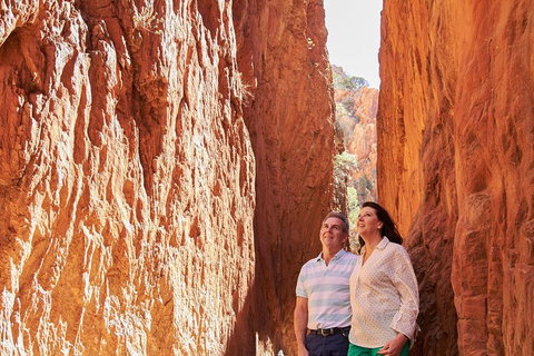 Best Of Alice Springs Full Day Tour - Your Accommodation 4