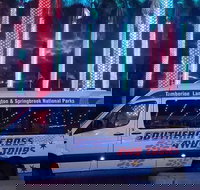 Evening Rainforest  Glow Worm Experience - Your Accommodation