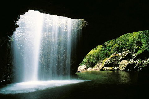 Natural Bridge & Springbrook Waterfalls Tour - Your Accommodation 0