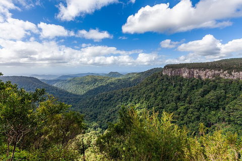 Natural Bridge & Springbrook Waterfalls Tour - Your Accommodation 1