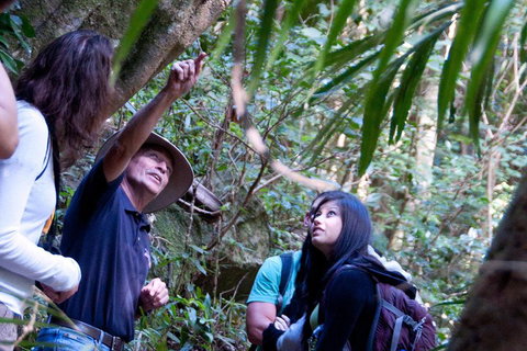 Natural Bridge & Springbrook Waterfalls Tour - Your Accommodation 4
