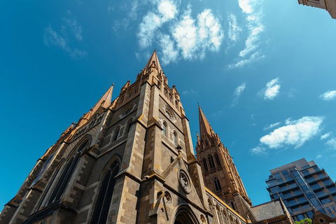 Highlights & Hidden Gems With Locals: Best Of Melbourne Private Tour - Your Accommodation 4