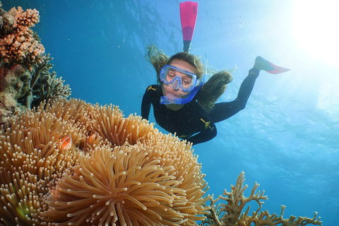 Quicksilver Outer Great Barrier Reef Snorkel Cruise From Port Douglas - Your Accommodation 2