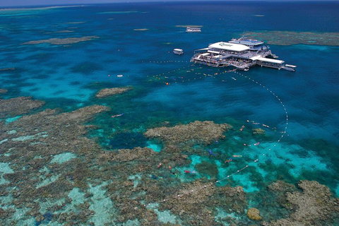Quicksilver Outer Great Barrier Reef Snorkel Cruise From Port Douglas - Your Accommodation 3