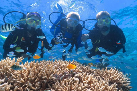 Quicksilver Outer Great Barrier Reef Snorkel Cruise From Port Douglas - Your Accommodation 4