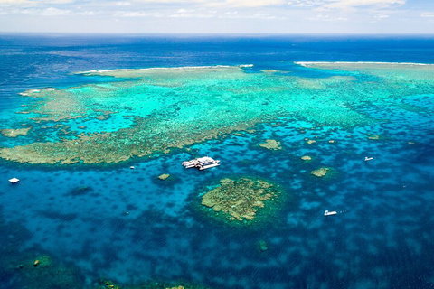 Quicksilver Outer Great Barrier Reef Snorkel Cruise From Port Douglas - Your Accommodation 5