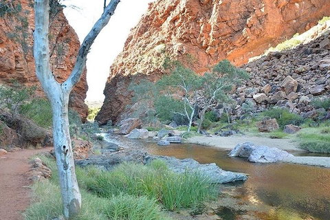 Alice Springs, Uluru Ayers Rock & Kings Canyon 8 Days Touring Package - Your Accommodation 2
