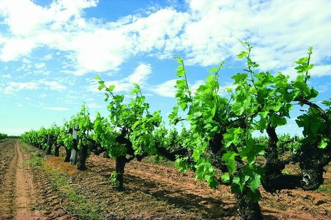 7 Days Perth All-Inclusive Touring Grand Package - Your Accommodation 2
