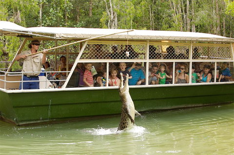 Hartley's Crocodile Adventure Half-Day Tour - Your Accommodation 0