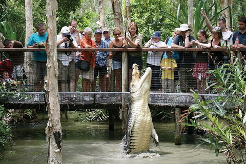 Hartley's Crocodile Adventure Half-Day Tour - Your Accommodation 1
