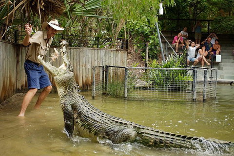 Hartley's Crocodile Adventure Half-Day Tour - Your Accommodation 2