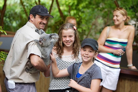 Hartley's Crocodile Adventure Half-Day Tour - Your Accommodation 3