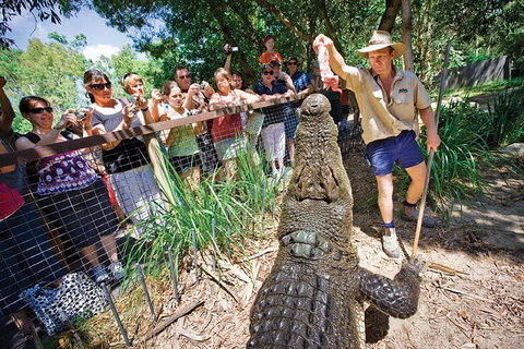 Hartley's Crocodile Adventure Half-Day Tour - Your Accommodation 4