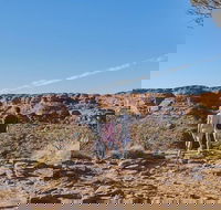 The Amazing Kings Canyon 4-Hours Walking Tour and Hike - Your Accommodation