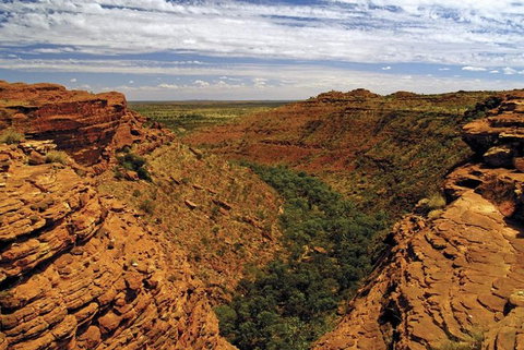 The Amazing Kings Canyon: 4-Hours Walking Tour And Hike - Your Accommodation 3