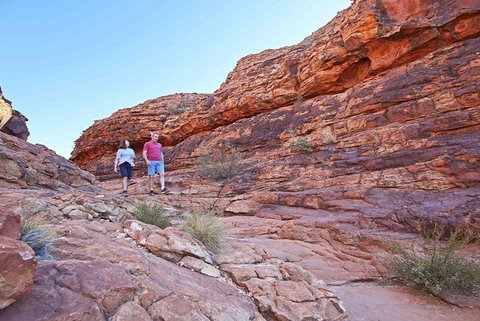 The Amazing Kings Canyon: 4-Hours Walking Tour And Hike - Your Accommodation 5