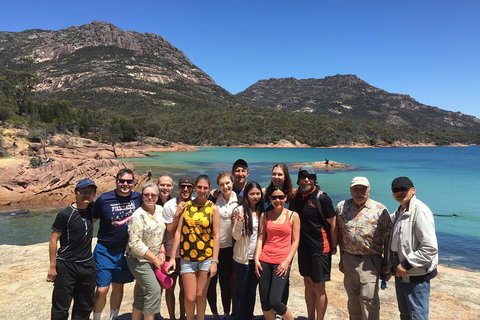 Active Day Tour One-Way From Launceston To Hobart Via Wineglass Bay - Your Accommodation 1