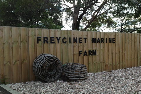 Active Day Tour One-Way From Launceston To Hobart Via Wineglass Bay - Your Accommodation 3